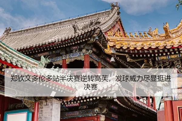 zheng-qin-wen-duo-lun-duo-zhan-ban-jue-sai-ni-zhuan-gao-fu-fa-qiu-wei-li-jin-xian-ting-jin-jue-sai-3-608.jpg
