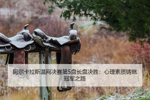 a-er-ka-la-si-wen-wang-jue-sai-di-pan-zhang-pan-jue-sheng-xin-li-su-zhi-zhu-jiu-guan-jun-zhi-lu-2-350.jpg