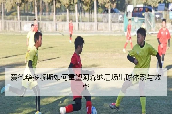 ai-de-hua-duo-lai-si-ru-he-zhong-su-a-sen-na-hou-chang-chu-qiu-ti-xi-yu-xiao-lv-2-969.jpg