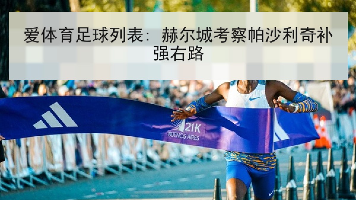 爱体育足球列表: 赫尔城考察帕沙利奇补强右路 爱体育足球列表: 赫尔城考察帕沙利奇补强右路
