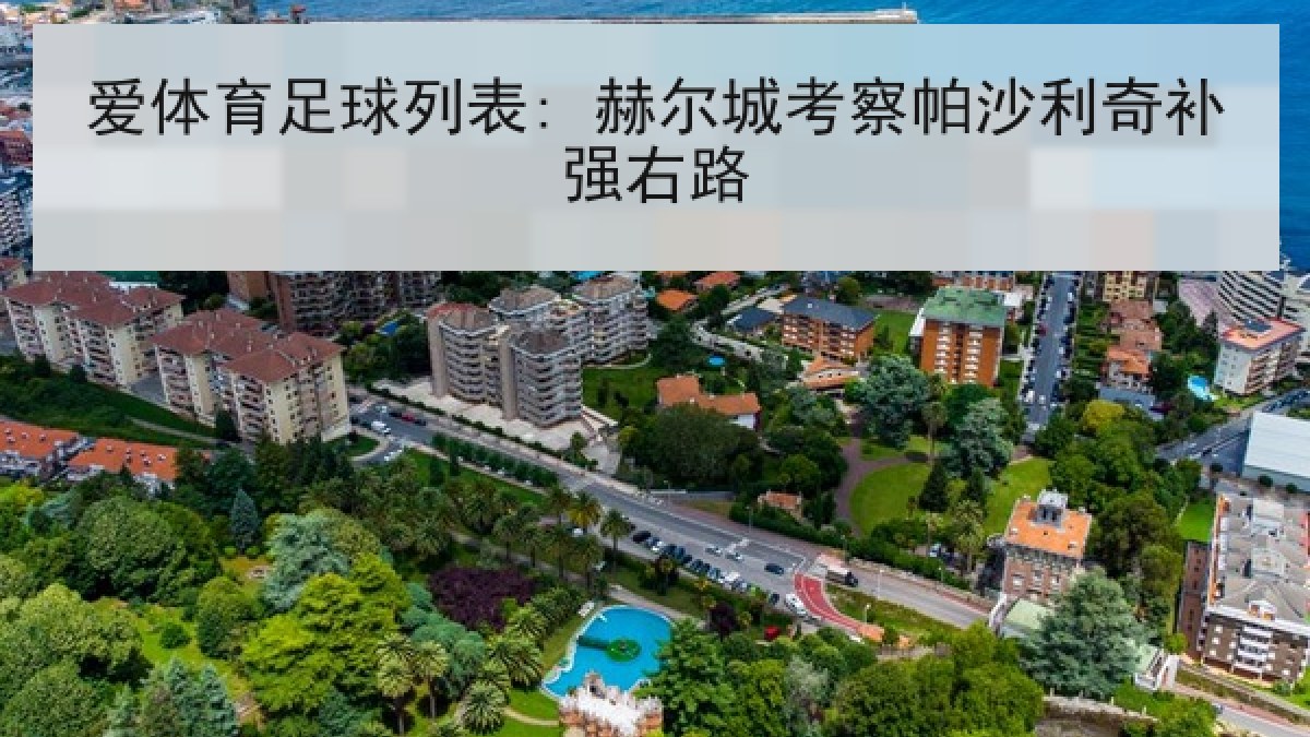 爱体育足球列表: 赫尔城考察帕沙利奇补强右路 爱体育足球列表: 赫尔城考察帕沙利奇补强右路